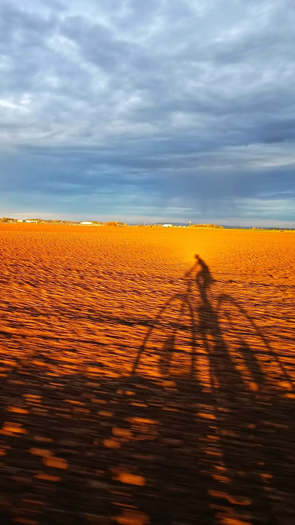 Fahrradschatten auf Feld