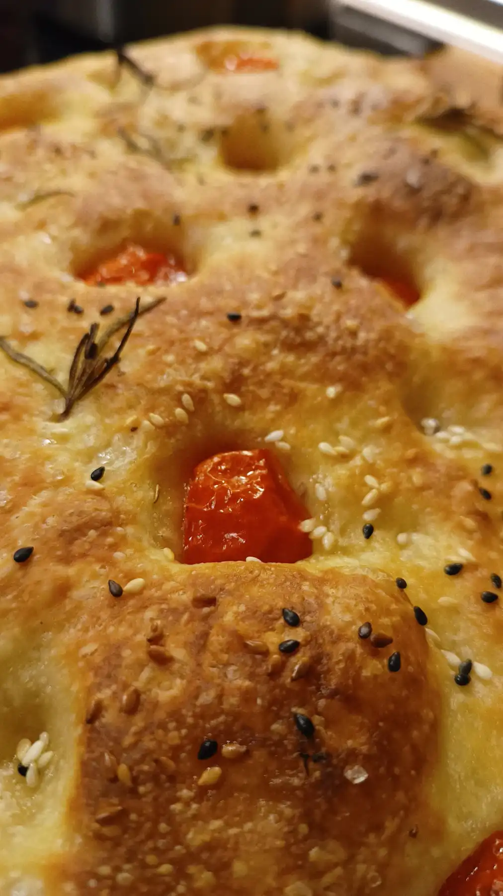 Focaccia mit Tomaten