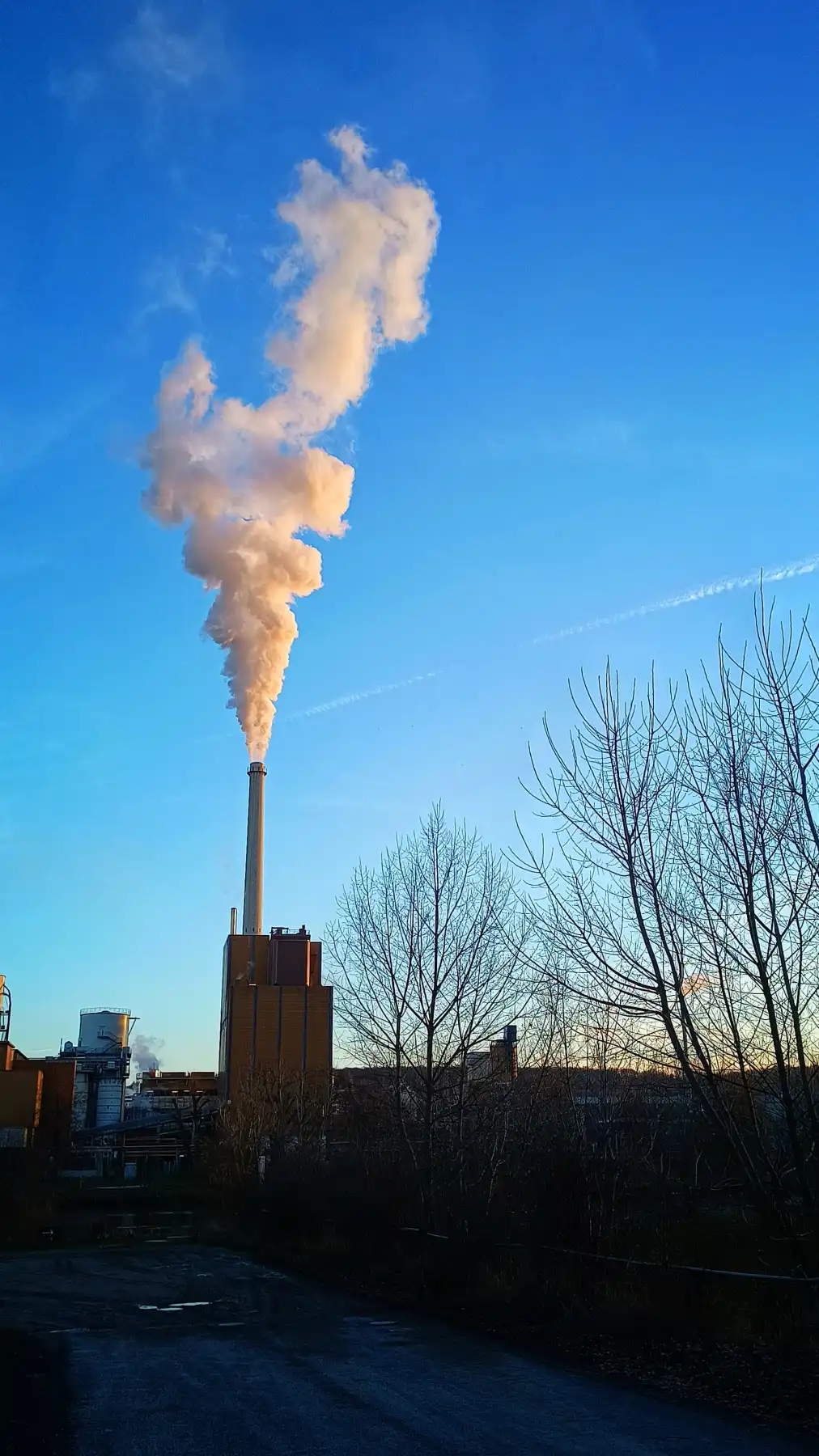 Zuckerfabrik Ochsenfurt