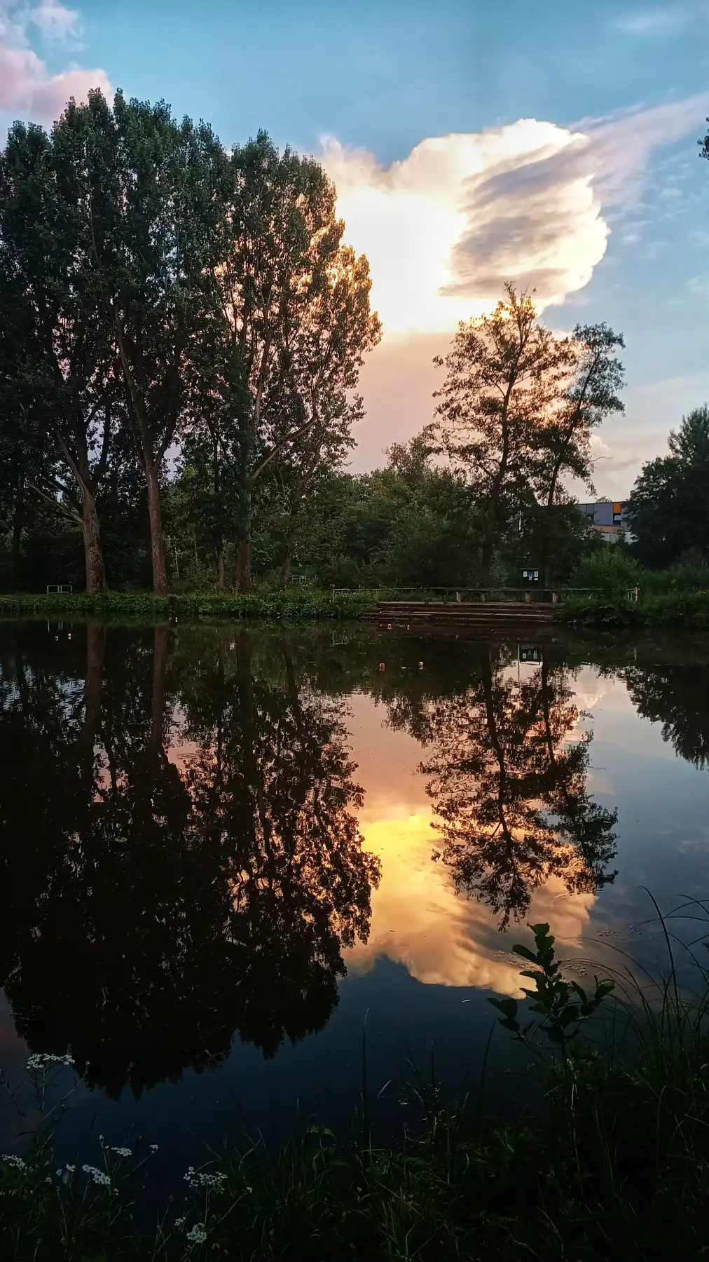 Sonnenuntergang am Main