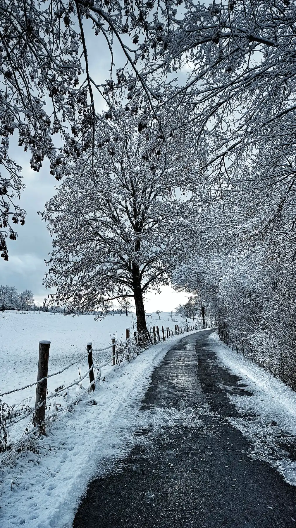 Schneebedeckter Weg im Winter