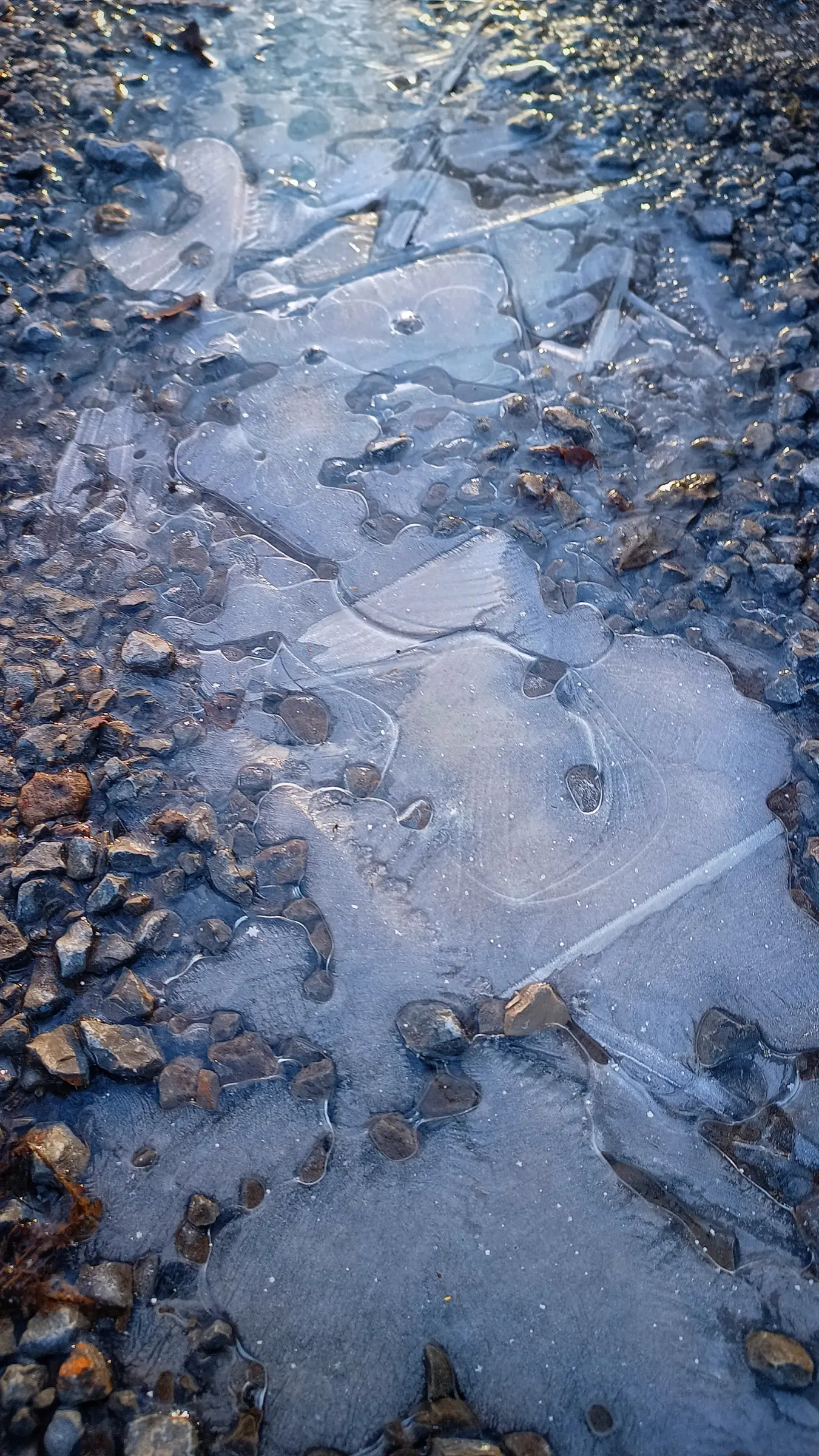 Gefrorene Pfütze mit Eis und Steinen