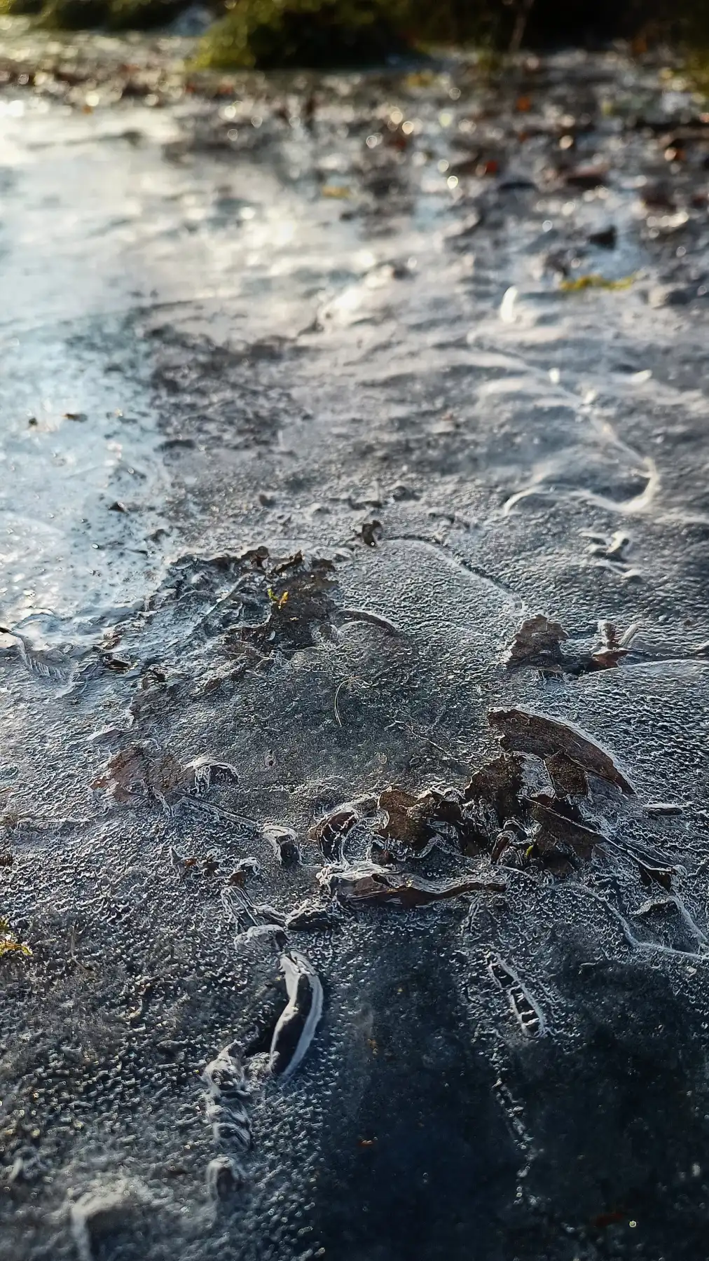 Gefrorener Boden mit Eis und Schnee, bedeckt mit Blättern und Zweigen