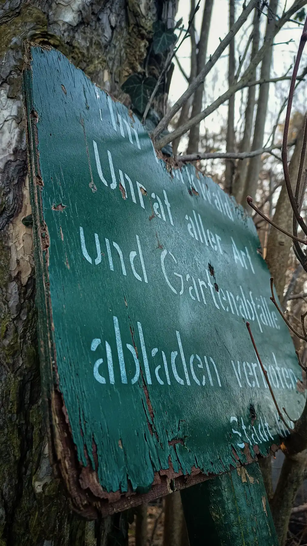 Verwittertes Holzschild im Wald