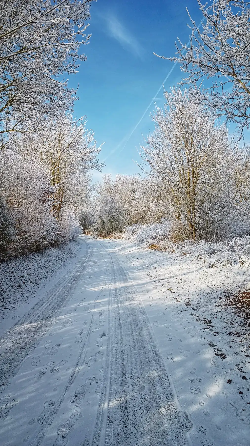 Schneebedeckter Weg im Winter