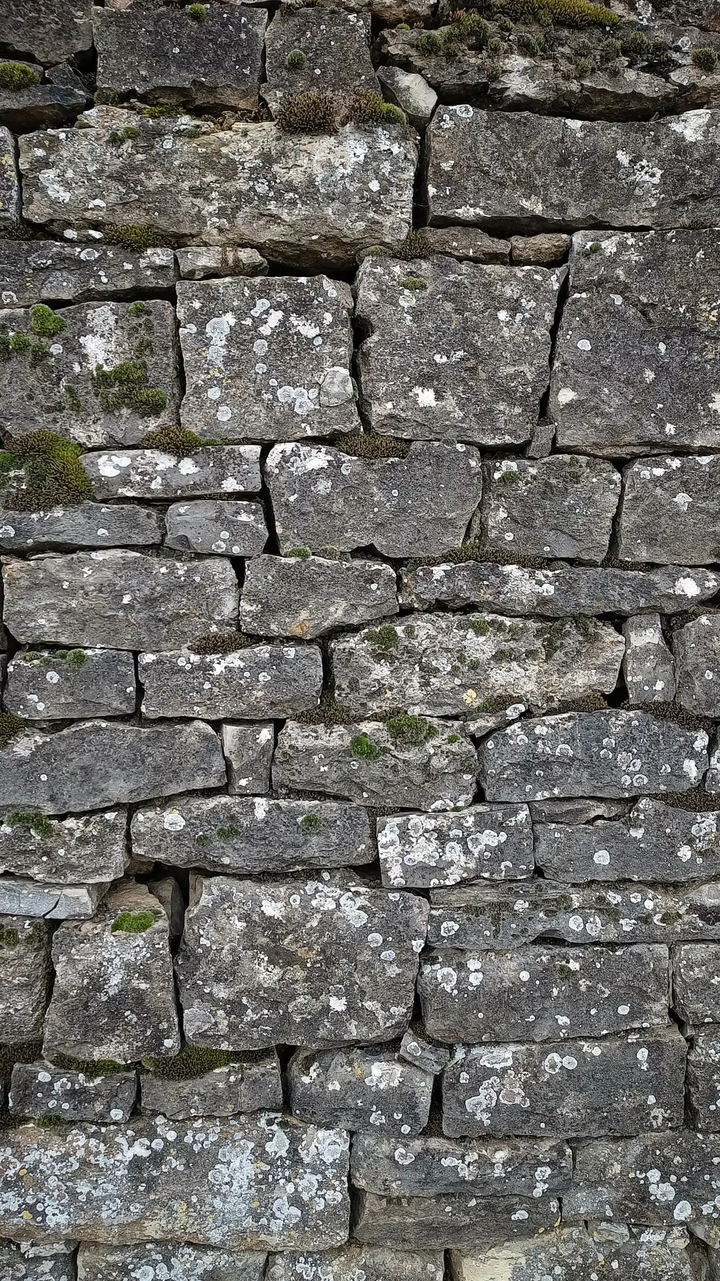 Steinmauer, verwittert, moosbewachsen