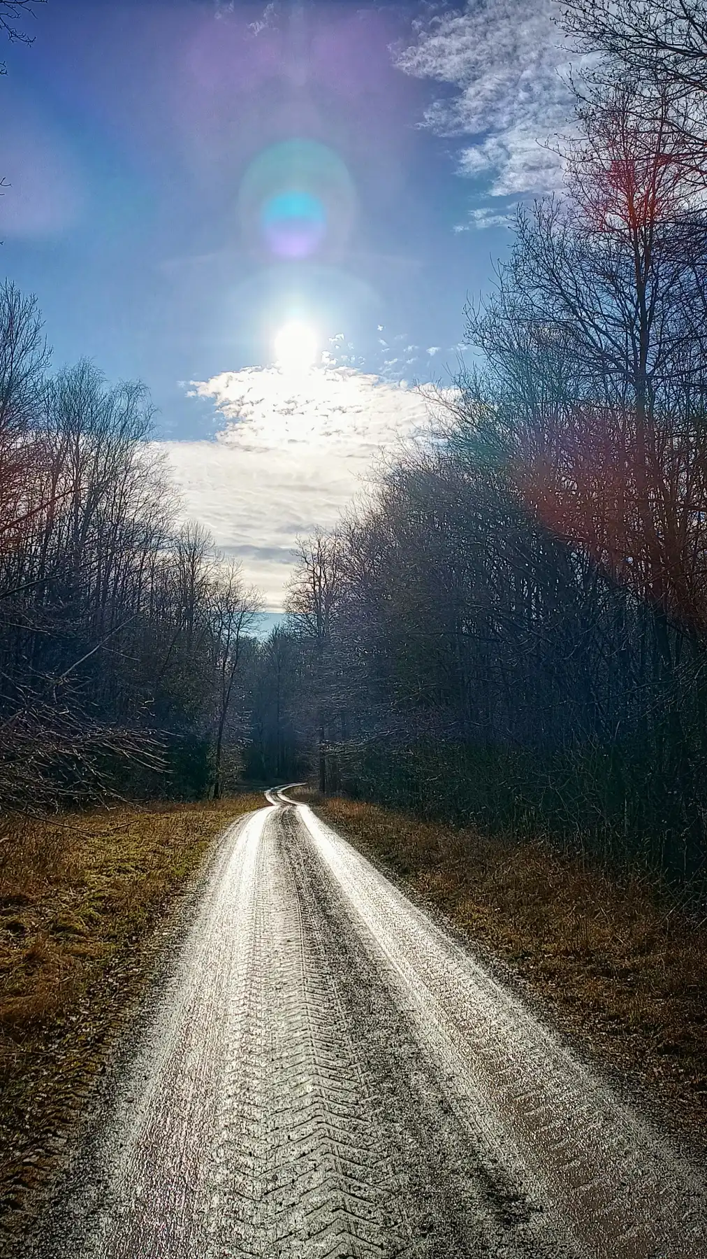 Waldweg wie auf Schienen