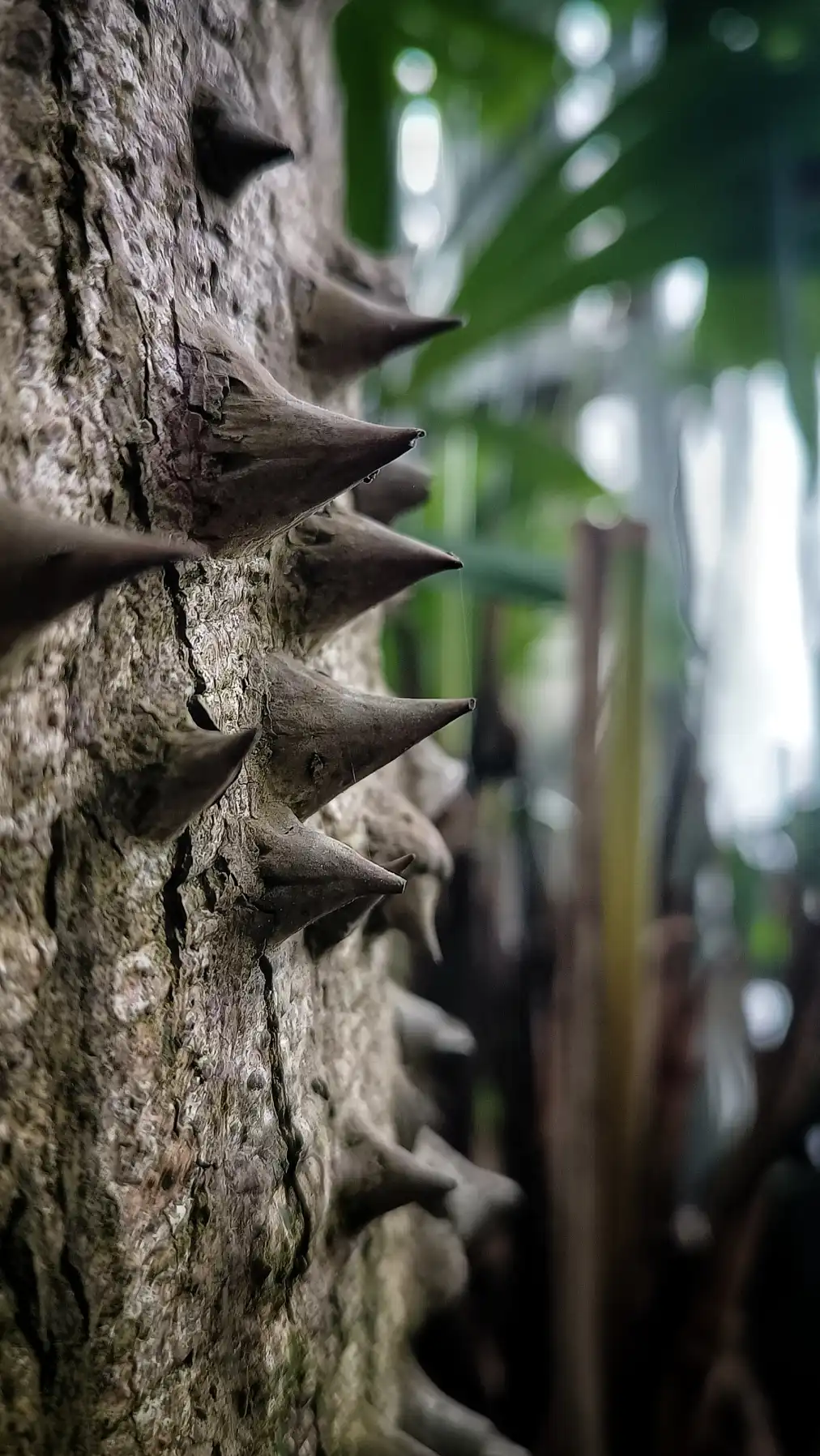 Ankylosaurus im botanischen Garten