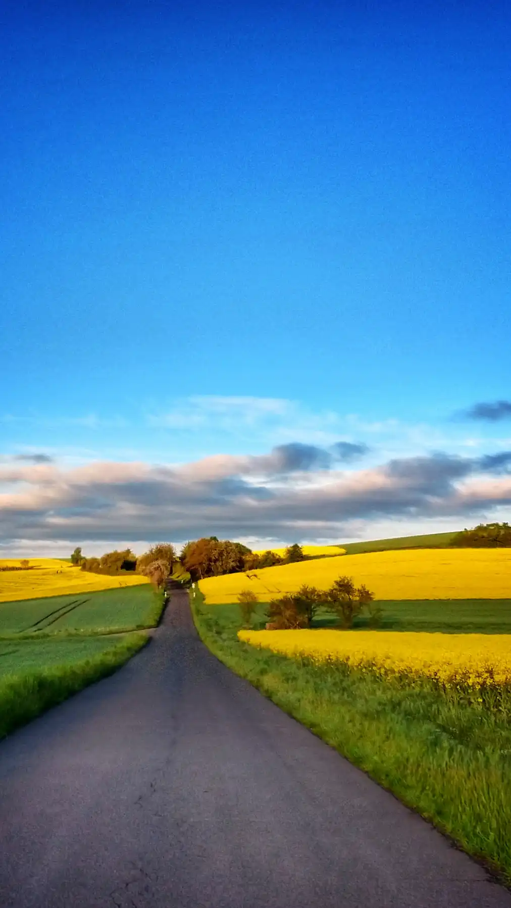 Der goldene Pfad des Himmels