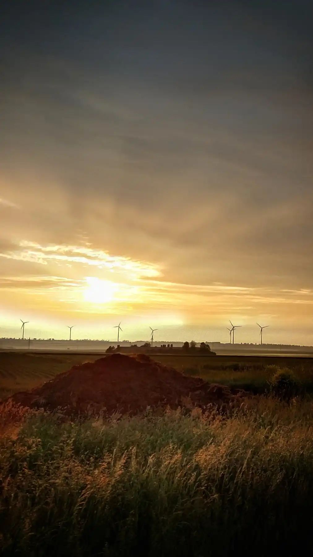 Windmühlen mahlen im Morgengrauen 